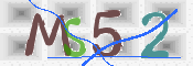 この文字を入力してください