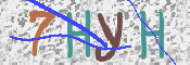 この文字を入力してください