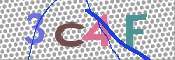 この文字を入力してください