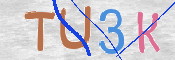 この文字を入力してください