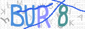 この文字を入力してください