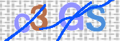 この文字を入力してください