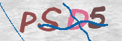 この文字を入力してください