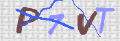 この文字を入力してください