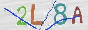 この文字を入力してください