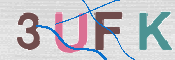 この文字を入力してください