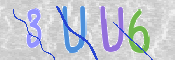 この文字を入力してください