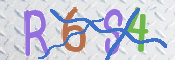この文字を入力してください