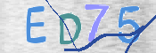 この文字を入力してください