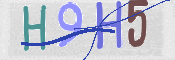 この文字を入力してください