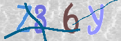 この文字を入力してください