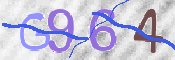 この文字を入力してください