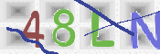 この文字を入力してください