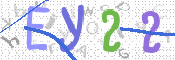 この文字を入力してください