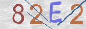 この文字を入力してください