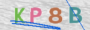 この文字を入力してください