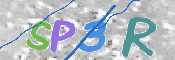 この文字を入力してください