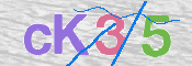 この文字を入力してください