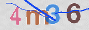 この文字を入力してください