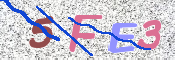 この文字を入力してください