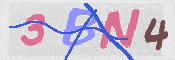 この文字を入力してください