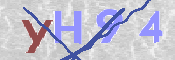 この文字を入力してください