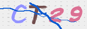 この文字を入力してください