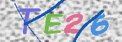 この文字を入力してください