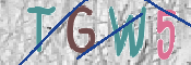 この文字を入力してください