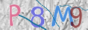 この文字を入力してください