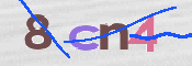この文字を入力してください
