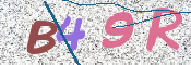 この文字を入力してください