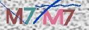 この文字を入力してください