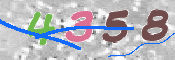 この文字を入力してください
