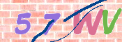 この文字を入力してください