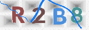 この文字を入力してください