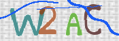 この文字を入力してください