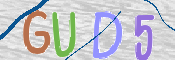 この文字を入力してください