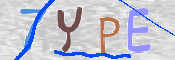 この文字を入力してください