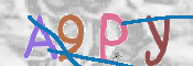 この文字を入力してください