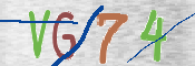 この文字を入力してください