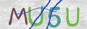 この文字を入力してください