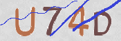 この文字を入力してください