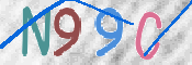 この文字を入力してください