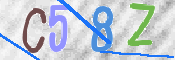 この文字を入力してください