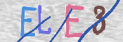 この文字を入力してください