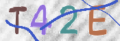 この文字を入力してください