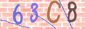 この文字を入力してください