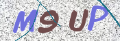 この文字を入力してください