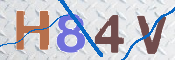 この文字を入力してください
